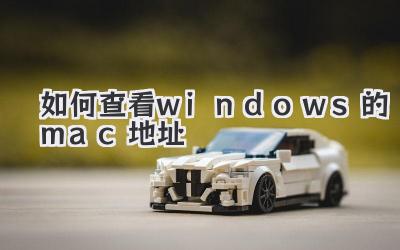 如何查看windows的mac地址