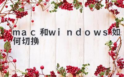 mac和windows 如何切換