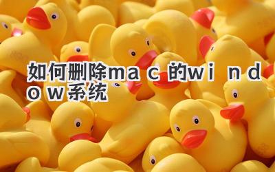 如何刪除mac的window系統