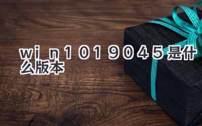 win1019045是什么版本