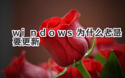 windows為什么老是要更新