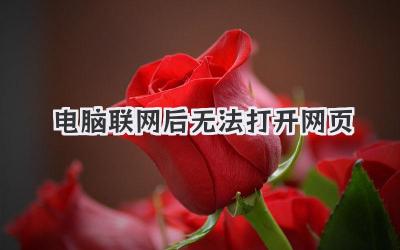 電腦聯網后無法打開網頁