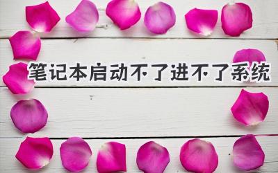 筆記本啟動不了進不了系統