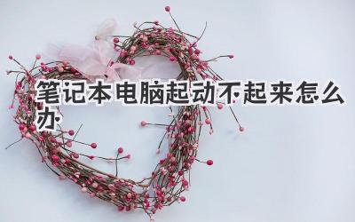 筆記本電腦起動不起來怎么辦