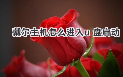 戴爾主機(jī)怎么進(jìn)入u盤啟動(dòng)