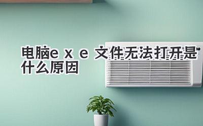 電腦exe文件無法打開是什么原因