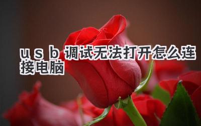 usb調試無法打開怎么連接電腦