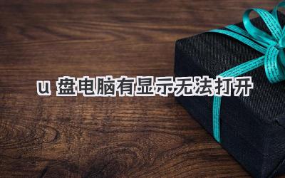 u盤電腦有顯示無法打開