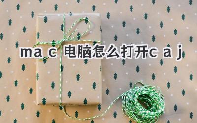 mac電腦怎么打開caj