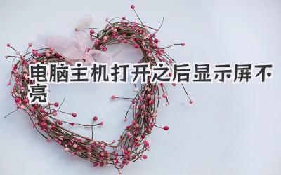電腦主機(jī)打開之后顯示屏不亮