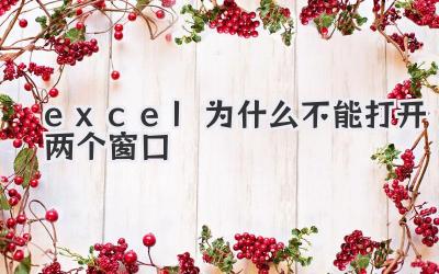 excel為什么不能打開兩個(gè)窗口