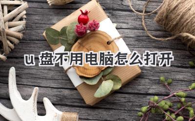 u盤不用電腦怎么打開