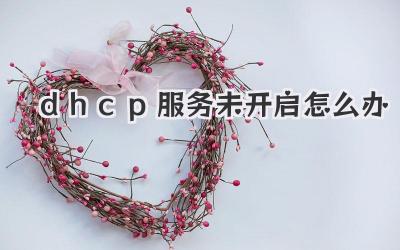dhcp服務(wù)未開啟怎么辦
