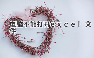 電腦不能打開(kāi)excel文件