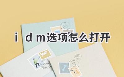 idm選項怎么打開