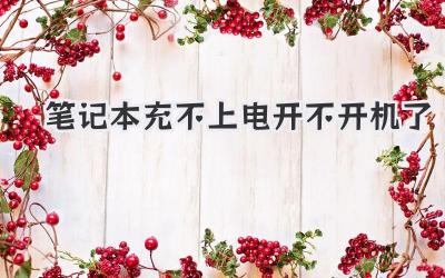 筆記本充不上電開不開機了