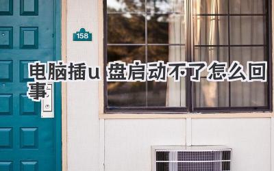 電腦插u盤啟動不了怎么回事