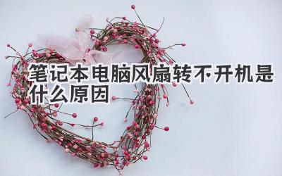 筆記本電腦風扇轉不開機是什么原因