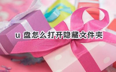 u盤怎么打開隱藏文件夾