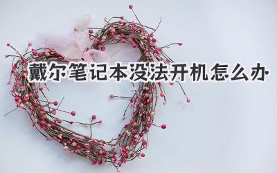 戴爾筆記本沒法開機怎么辦