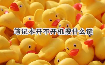筆記本開(kāi)不開(kāi)機(jī)按什么鍵