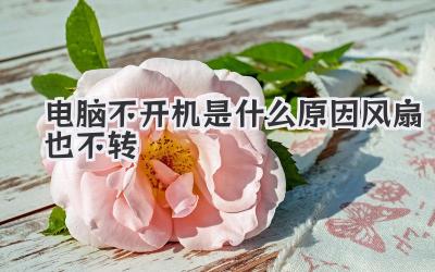 電腦不開機(jī)是什么原因風(fēng)扇也不轉(zhuǎn)