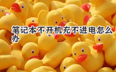 筆記本不開機充不進電怎么辦