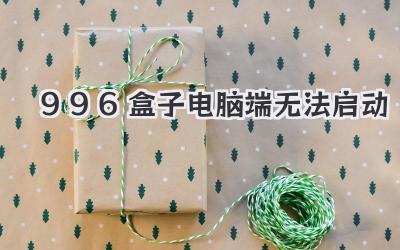996盒子電腦端無法啟動