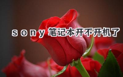 sony筆記本開不開機了