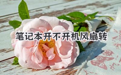 筆記本開不開機(jī)風(fēng)扇轉(zhuǎn)