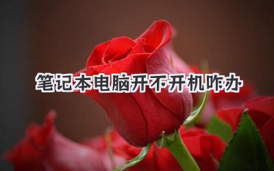 筆記本電腦開不開機咋辦
