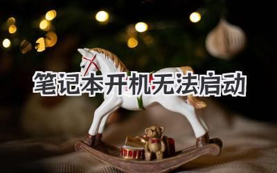 筆記本開機(jī)無(wú)法啟動(dòng)
