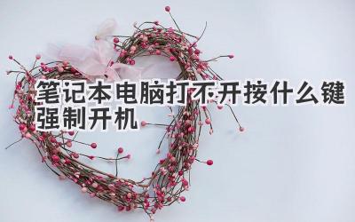 筆記本電腦打不開(kāi)按什么鍵強(qiáng)制開(kāi)機(jī)