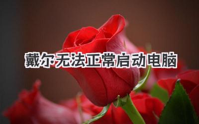 戴爾無法正常啟動(dòng)電腦