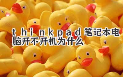 thinkpad筆記本電腦開不開機為什么