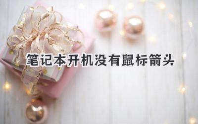 筆記本開機(jī)沒有鼠標(biāo)箭頭