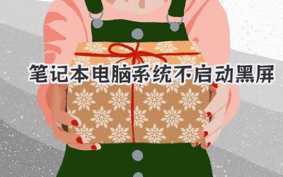 筆記本電腦系統(tǒng)不啟動黑屏