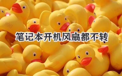 筆記本開機風扇都不轉
