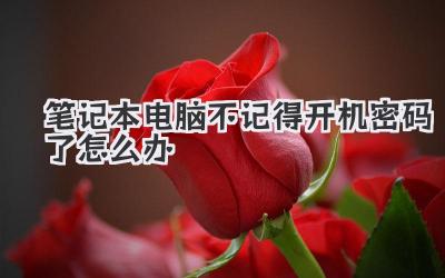 筆記本電腦不記得開機密碼了怎么辦