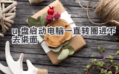 u盤啟動電腦一直轉圈進不去桌面