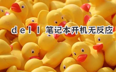 dell筆記本開機(jī)無反應(yīng)