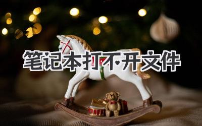 筆記本打不開文件