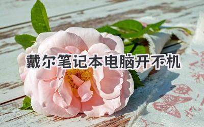 戴爾筆記本電腦開不機(jī)