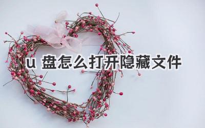 u盤怎么打開隱藏文件