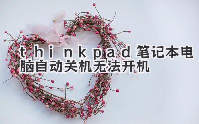 thinkpad筆記本電腦自動關機無法開機