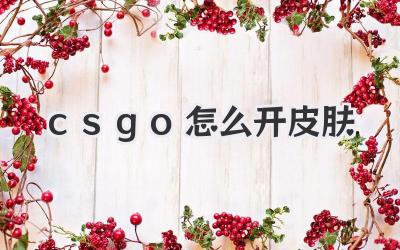 csgo怎么開(kāi)皮膚