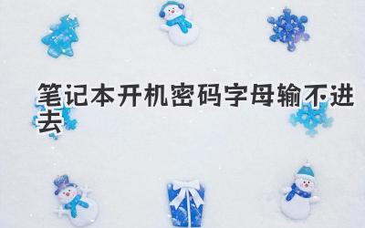 筆記本開機密碼字母輸不進去