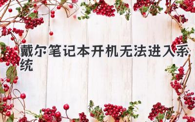 戴爾筆記本開機無法進入系統