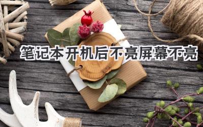 筆記本開機后不亮屏幕不亮