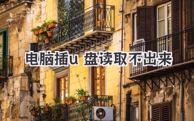 電腦插u盤讀取不出來